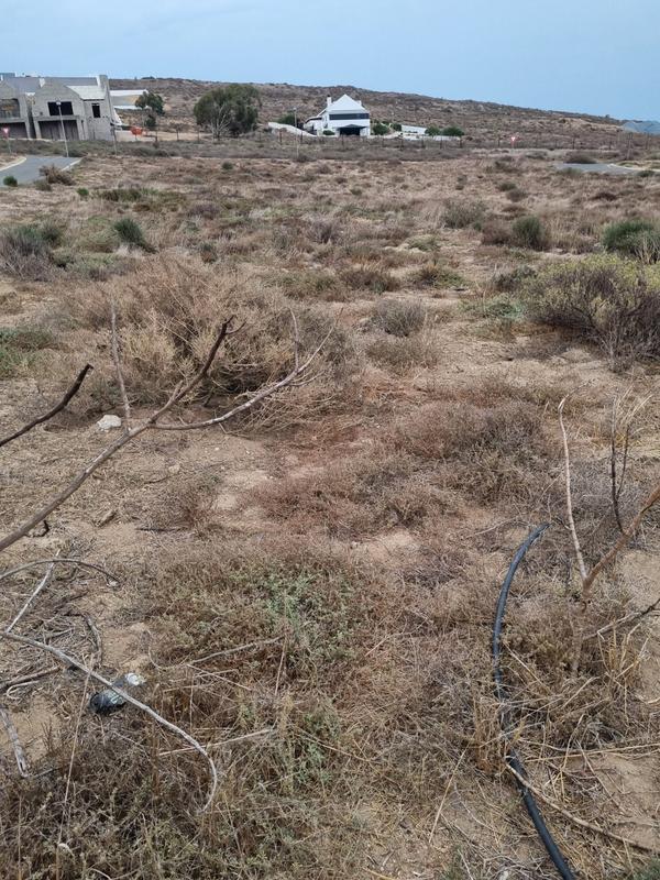 3 Bedroom Property for Sale in St Helena Views Western Cape